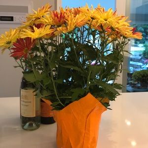 Meet your Posher, Marco